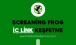 screaming frog ile iç link keşfetmek